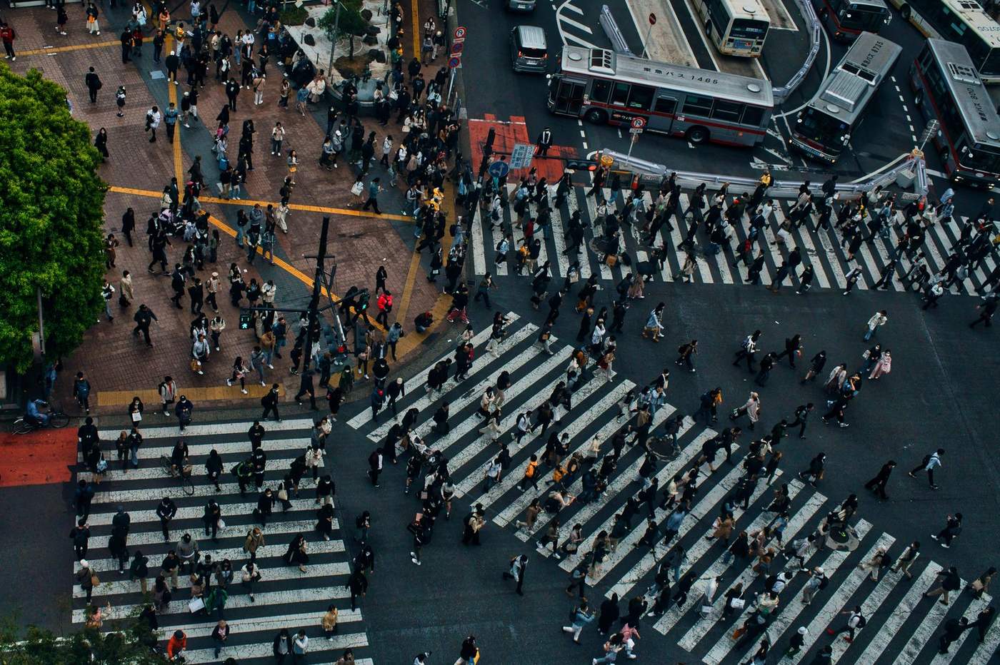 Aerial view of hundreds of pedestrians on the zebra crossings at Shibuya Crossing in Tokyo